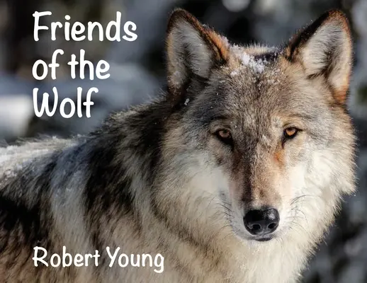 Amigos del lobo - Friends of the Wolf