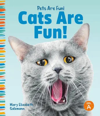 Los gatos son divertidos - Cats Are Fun!