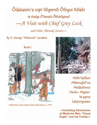 Una Visita Al Jefe Grey Lock Y Otras Historias Abenaki, Libro 1 - A Visit with Chief Grey Lock and Other Abenaki Stories, Book 1