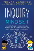 Mentalidad de investigación - Inquiry Mindset