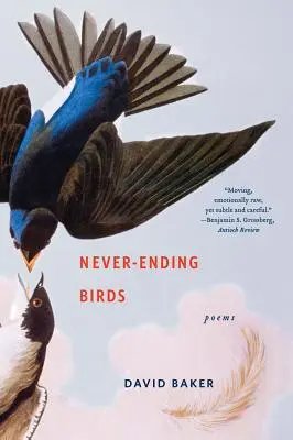 Pájaros sin fin: Poemas - Never-Ending Birds: Poems