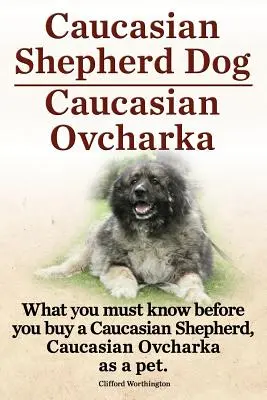 Perro pastor del Cáucaso. Ovcharka del Cáucaso. Lo que debe saber antes de comprar un pastor caucásico u oveja caucásica como mascota. - Caucasian Shepherd Dog. Caucasian Ovcharka. What You Must Know Before You Buy a Caucasian Shepherd Dog, Caucasian Ovcharka as a Pet.