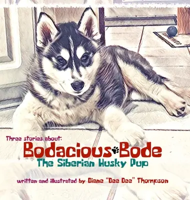 Bodacious Bode: el cachorro de husky siberiano - Bodacious Bode - The Siberian Husky Pup