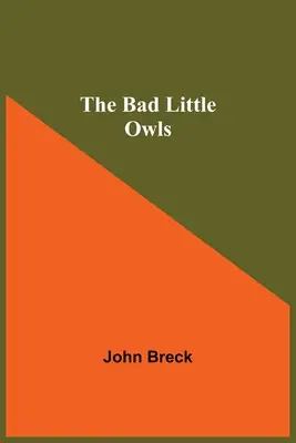 Los búhos malos - The Bad Little Owls