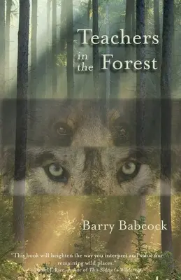 Maestros en el bosque - Teachers in the Forest