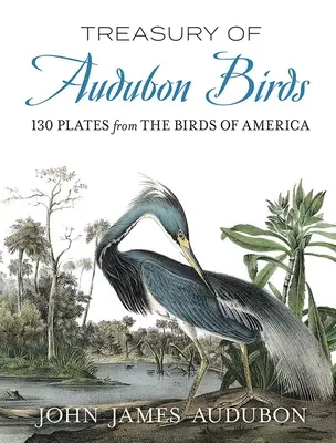 Tesoro de aves de Audubon: 130 láminas de las aves de América - Treasury of Audubon Birds: 130 Plates from the Birds of America