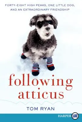 Siguiendo a Atticus LP - Following Atticus LP