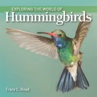 Explorando el mundo de los colibríes - Exploring the World of Hummingbirds