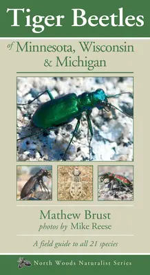 Los escarabajos tigre de Minnesota, Wisconsin y Michigan - Tiger Beetles of Minnesota, Wisconsin & Michigan