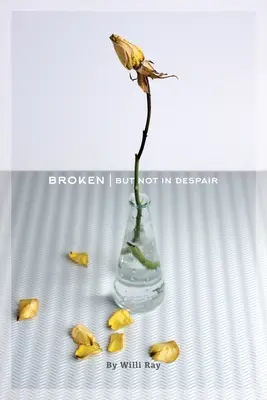 Roto: Pero no desesperados - Broken: But Not In Despair