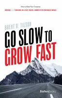 Go Slow to Grow Fast: How to Keep Your Company Driving and Thriving in a Fast-Paced, Competitive Business World (Ir despacio para crecer deprisa: cómo hacer que su empresa funcione y prospere en un mundo empresarial competitivo y acelerado) - Go Slow to Grow Fast: How to Keep Your Company Driving and Thriving in a Fast-Paced, Competitive Business World