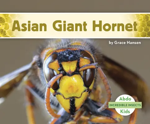 Avispón gigante asiático - Asian Giant Hornet