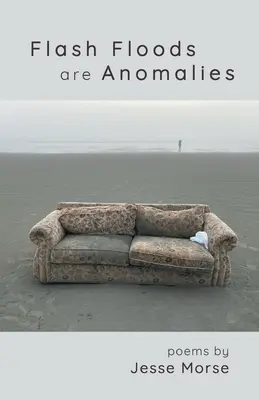 Las inundaciones repentinas son anomalías - Flash Floods are Anomalies