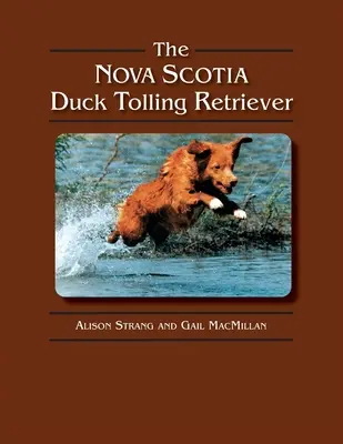 El Duck Tolling Retriever de Nueva Escocia - The Nova Scotia Duck Tolling Retriever