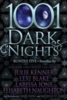 1001 noches oscuras: Paquete Cinco - 1001 Dark Nights: Bundle Five