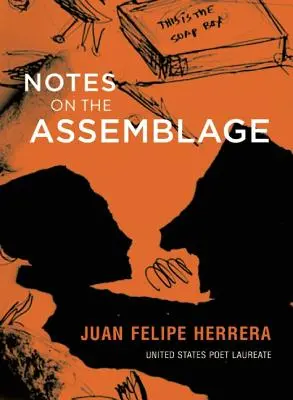 Notas sobre el Montaje - Notes on the Assemblage