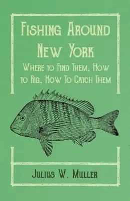 Pesca en los alrededores de Nueva York - Dónde encontrarlos, cómo aparejarlos, cómo pescarlos - Fishing Around New York - Where to Find Them, How to Rig, How To Catch Them