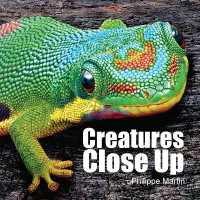 Criaturas de cerca - Creatures Close Up