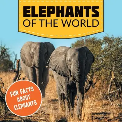 Elefantes del mundo: Datos curiosos sobre los elefantes - Elephants of the World: Fun Facts About Elephants