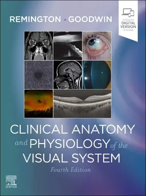 Anatomía y fisiología clínicas del sistema visual - Clinical Anatomy and Physiology of the Visual System