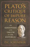 La crítica de Platón a la razón impura: Sobre el bien y la verdad en la República - Plato's Critique of Impure Reason: On Goodness and Truth in the Republic