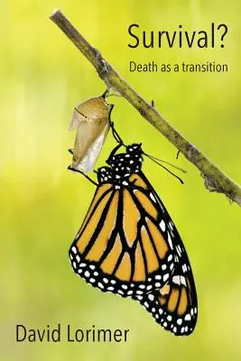 ¿Supervivencia? La muerte como transición - Survival? Death as a Transition