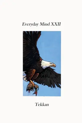 Mente cotidiana XXII - Everyday Mind XXII