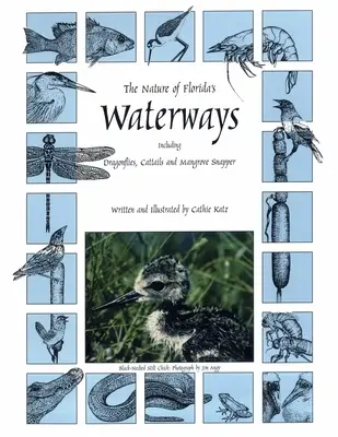 La naturaleza de los cursos de agua de Florida: Libélulas, espadañas y pargos de manglar - The Nature of Florida's Waterways: Including Dragonflies, Cattails, and Mangrove Snapper