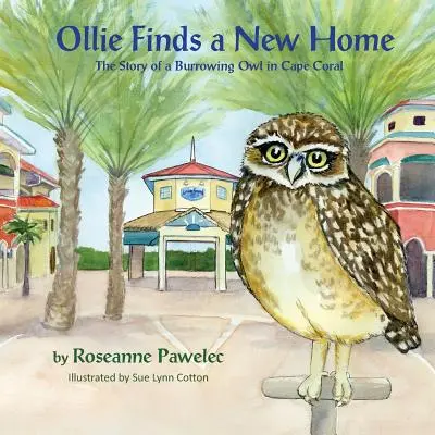 Ollie encuentra un nuevo hogar: la historia de un búho de madriguera en Cape Coral - Ollie Finds a New Home: The Story of Burrowing Owl in Cape Coral