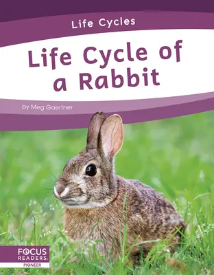 Ciclo de vida de un conejo - Life Cycle of a Rabbit