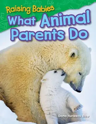 Criar bebés: Lo que hacen los padres de animales - Raising Babies: What Animal Parents Do