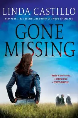 Desaparecida: Una novela de Kate Burkholder - Gone Missing: A Kate Burkholder Novel