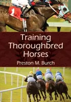 Adiestramiento de caballos pura sangre - Training Thoroughbred Horses