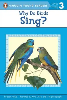 ¿Por qué cantan los pájaros? - Why Do Birds Sing?