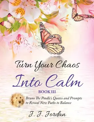 Convierte tu caos en calma - Turn Your Chaos Into Calm