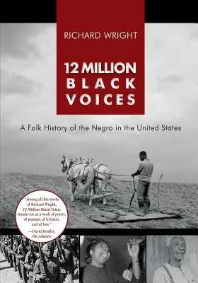 12 millones de voces negras - 12 Million Black Voices