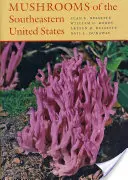 Setas del sudeste de Estados Unidos - Mushrooms of the Southeastern United States