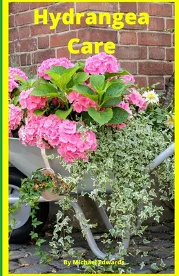 Cuidado de las hortensias: Cómo cuidarlas para principiantes - Jardinería casera fácil - Hydrangea Care: How To Care For Hydrangeas For Beginners - Easy Home Gardening