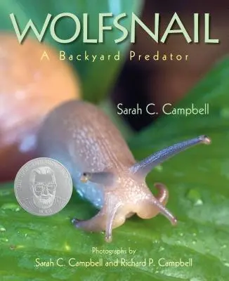 Caracol lobo: Un depredador doméstico - Wolfsnail: A Backyard Predator