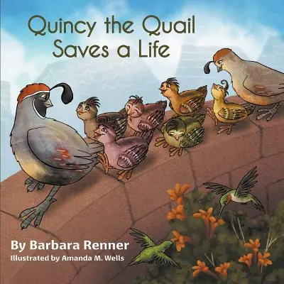 Quincy la codorniz salva una vida - Quincy the Quail Saves a Life