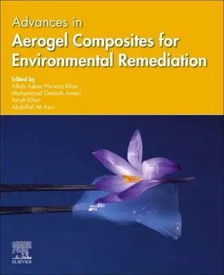 Avances en los compuestos de aerogel para la rehabilitación medioambiental - Advances in Aerogel Composites for Environmental Remediation