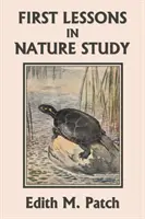 Primeras lecciones de estudio de la naturaleza (Clásicos de ayer) - First Lessons in Nature Study (Yesterday's Classics)