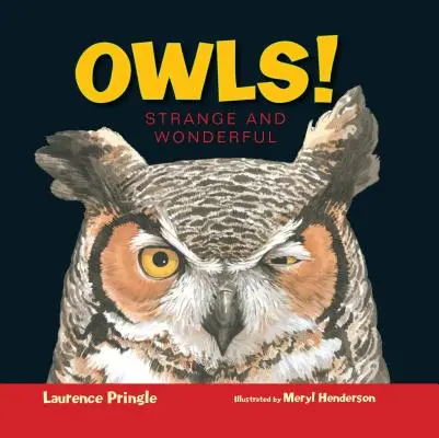 Búhos Extraño y maravilloso - Owls!: Strange and Wonderful