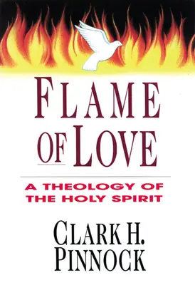 La llama del amor: Tres puntos de vista sobre el destino de los no evangelizados - Flame of Love: Three Views on the Destiny of the Unevangelized