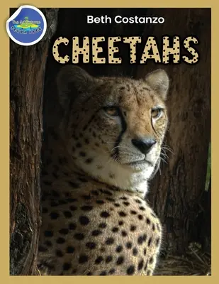 Cuaderno de actividades del guepardo 4-8 años - Cheetah Activity Workbook ages 4-8