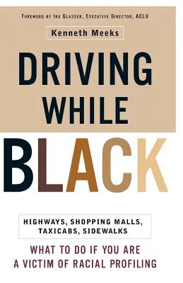 Conducir siendo negro: autopistas, centros comerciales, taxis, aceras: Cómo defenderse si es víctima de un perfil racial - Driving While Black: Highways, Shopping Malls, Taxi Cabs, Sidewalks: How to Fight Back If You Are a Victim of Racial Profiling
