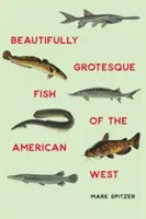 Peces bellamente grotescos del Oeste americano - Beautifully Grotesque Fish of the American West