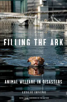 Llenar el Arca: Bienestar animal en catástrofes - Filling the Ark: Animal Welfare in Disasters