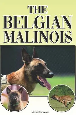 El Malinois Belga: Una guía completa y exhaustiva para principiantes para: Comprar, Tener, Salud, Aseo, Adiestramiento, Obediencia, Comprensión - The Belgian Malinois: A Complete and Comprehensive Beginners Guide To: Buying, Owning, Health, Grooming, Training, Obedience, Understanding