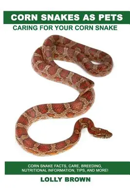 Serpientes de maíz como mascotas: Datos sobre la serpiente del maíz, cuidados, cría, información nutricional, consejos y mucho más. Cuidados de la serpiente del maíz - Corn Snakes as Pets: Corn Snake facts, care, breeding, nutritional information, tips, and more! Caring For Your Corn Snake